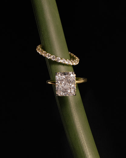 Elise Ring